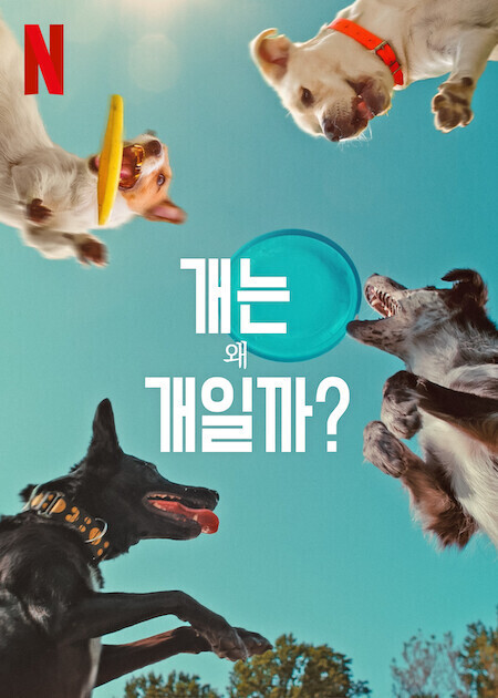 개는 왜 개일까?