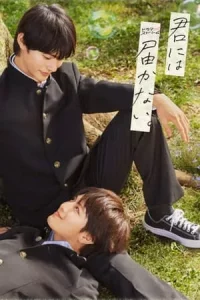 너에게는 닿지 않아 