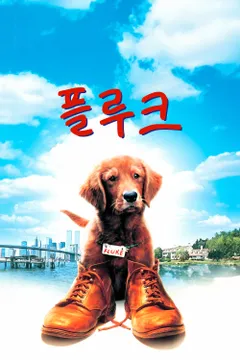 플루크