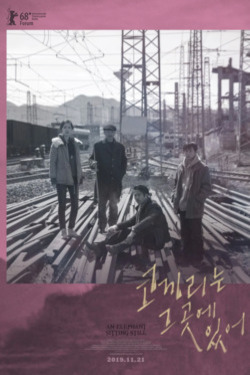 코끼리는 그 곳에 있어
