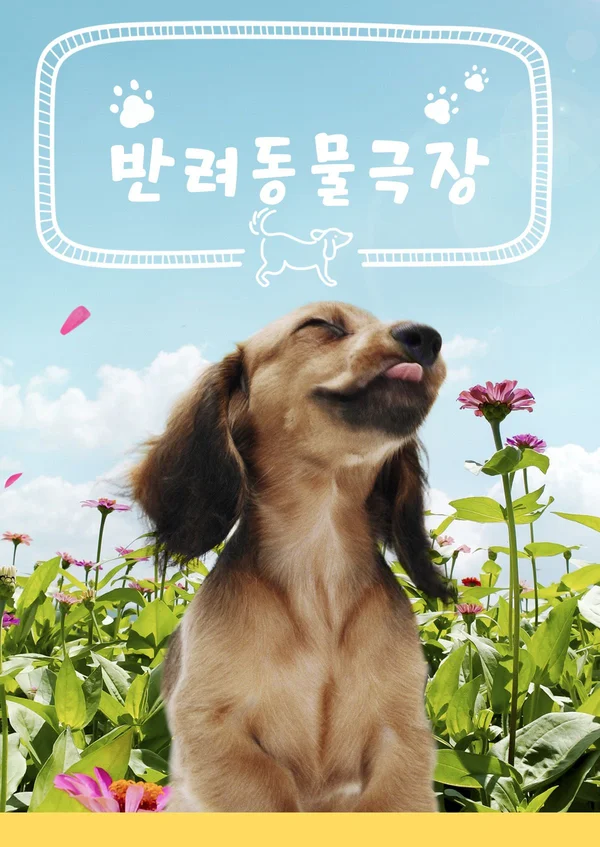 반려동물극장