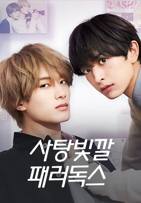 사탕빛깔 패러독스