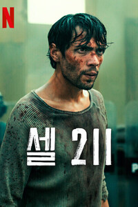 셀 211