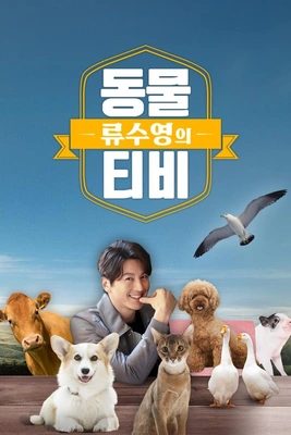류수영의 동물티비