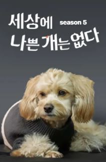 세상에 나쁜 개는 없다 시즌 5
