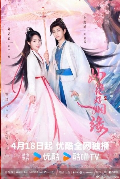 묘절호인연
