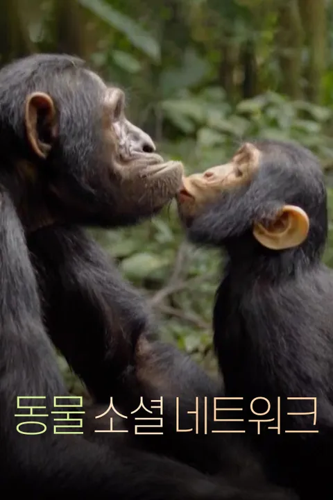 동물 소셜 네트워크