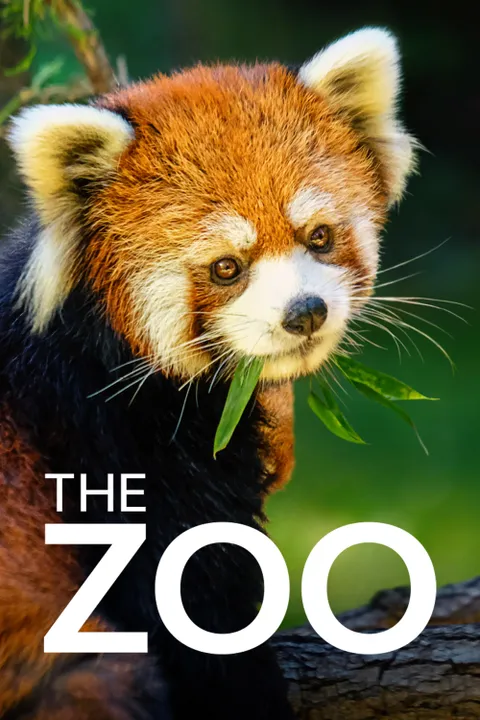 THE ZOO 시즌1