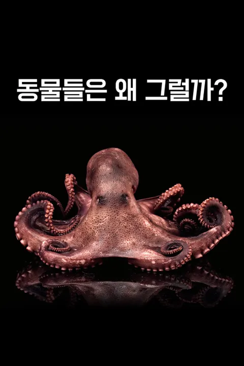 동물들은 왜 그럴까