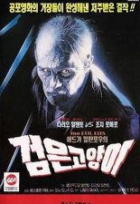 검은 고양이