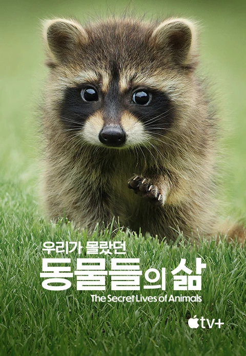우리가 몰랐던 동물들의 삶