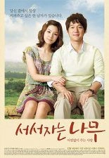 서서 자는 나무