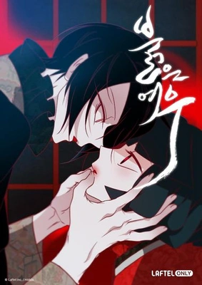 붉은 여우