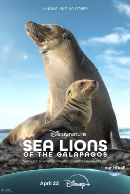 갈라파고스의 바다사자