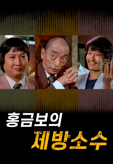 홍금보의 제방소수