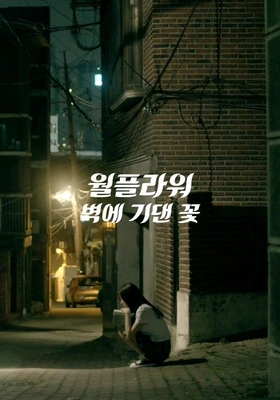 월플라워 벽에 기댄 꽃