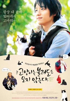 고양이는 불러도 오지않는다