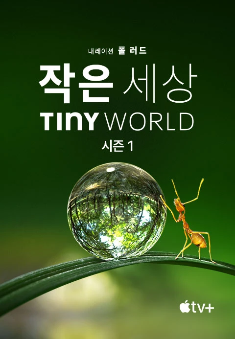 작은 세상