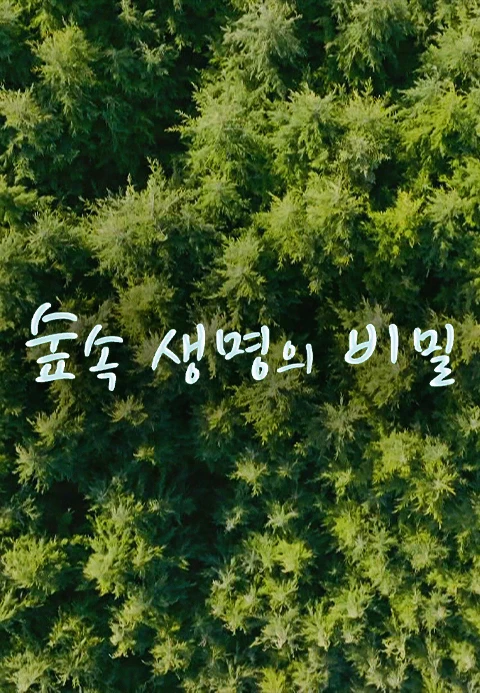숲속 생명의 비밀