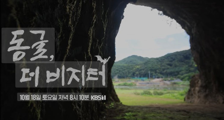 동굴, 더 비지터