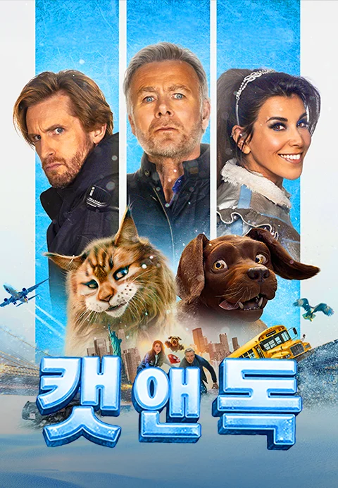 캣 앤 독