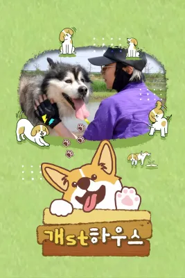 개st하우스