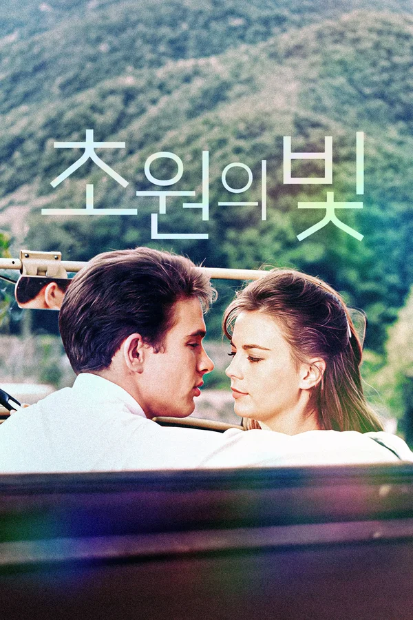 초원의 빛