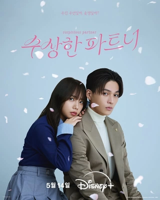 수상한 파트너