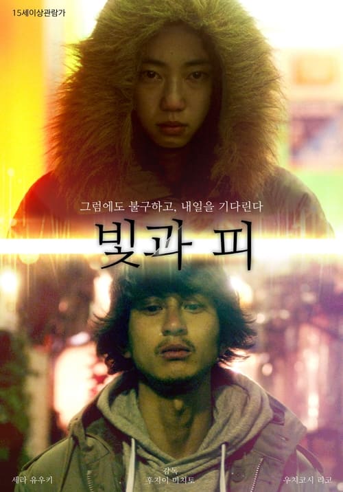 빛과 피
