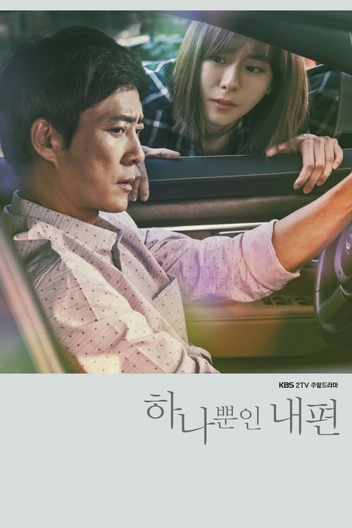 하나뿐인 내편