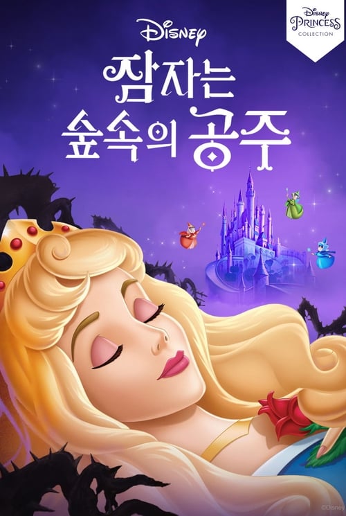 잠자는 숲속의 공주