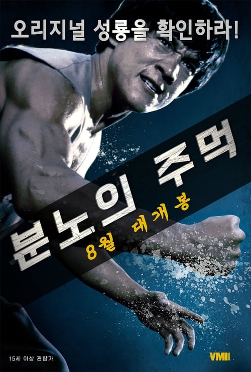 분노의 주먹(정천입지)