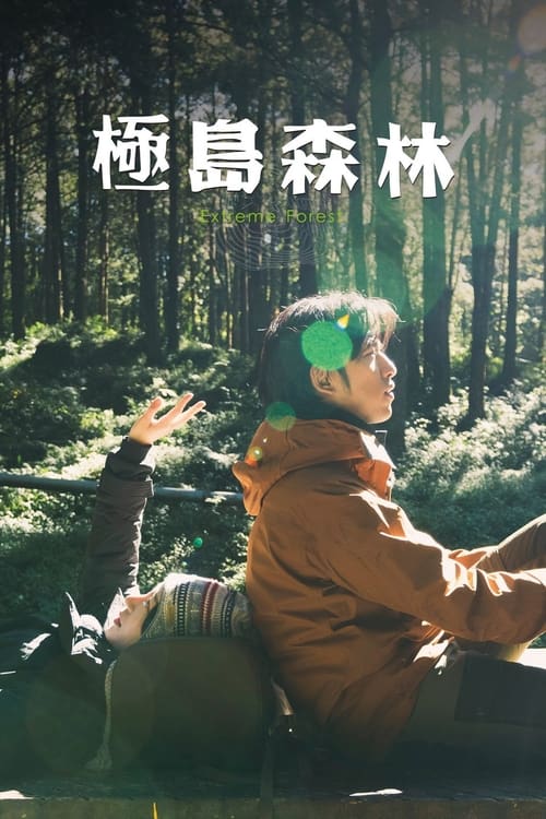 극한의 숲속으로
