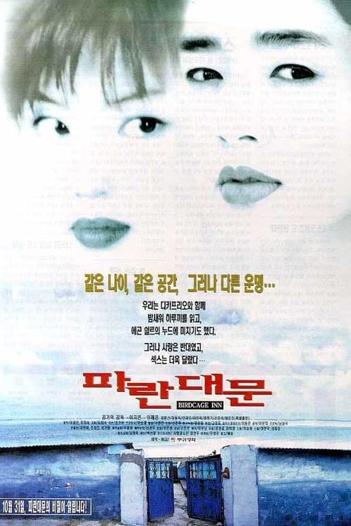 파란 대문