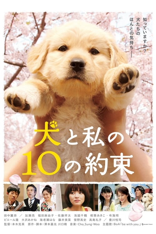 개와 나의 10가지 약속