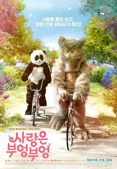 사랑은 부엉부엉