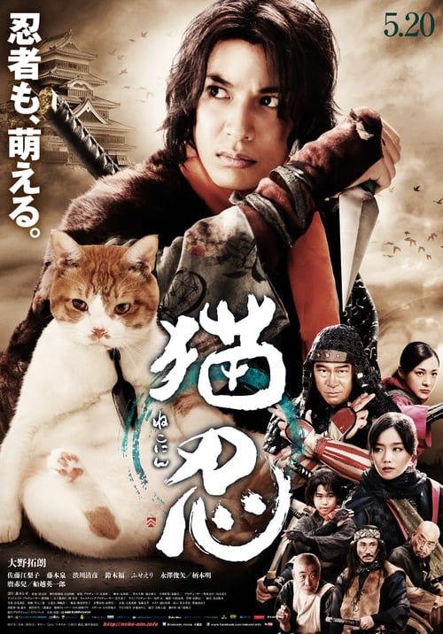 고양이 닌자