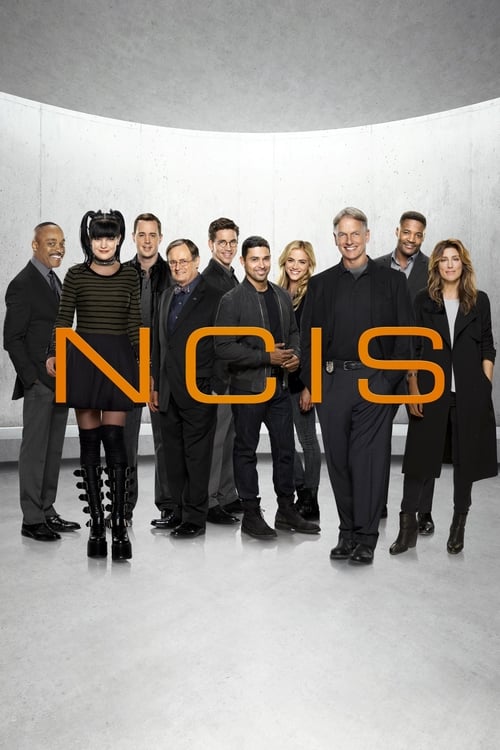 NCIS 시즌 15
