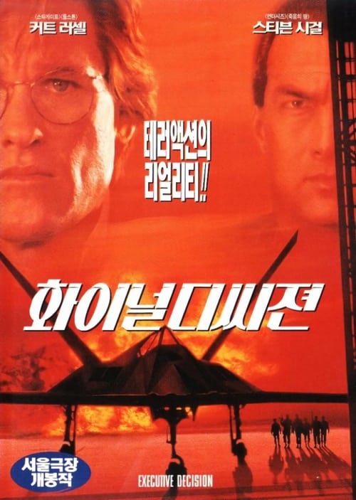 파이널 디씨전