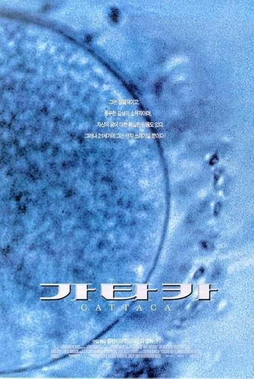가타카
