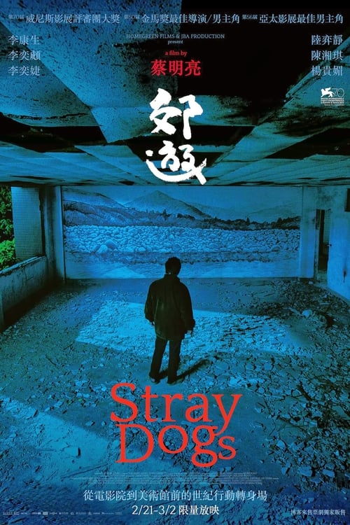 떠돌이 개