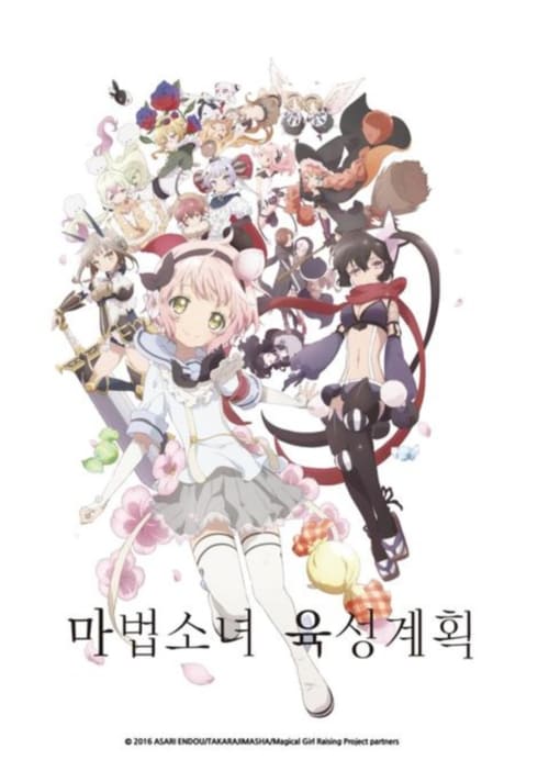 마법소녀 육성계획