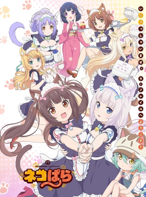 네코파라 OVA